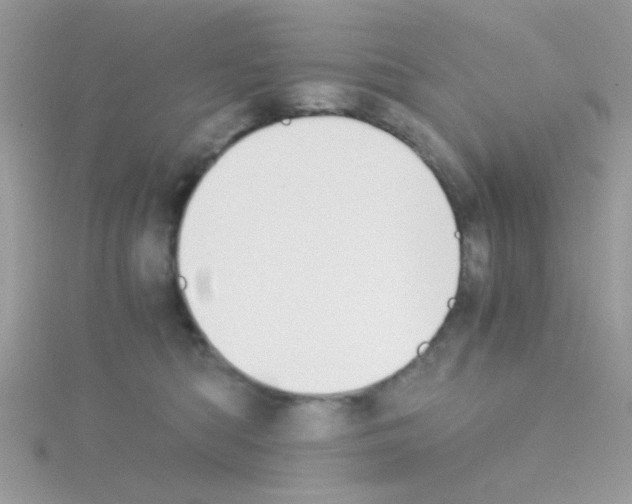 X0000114390422200911271502