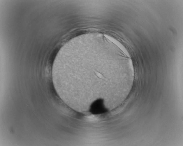 X0000114390425200911271502