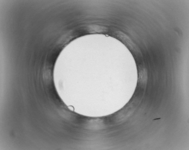 X0000114390426200911271502