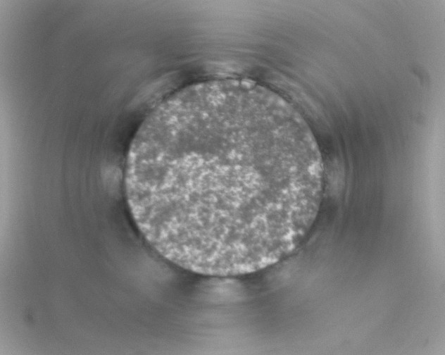 X0000114390427200911271502