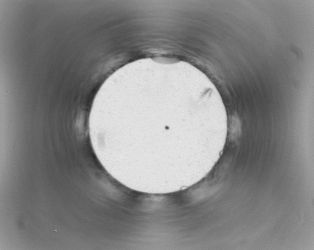 X0000114390428200911271502