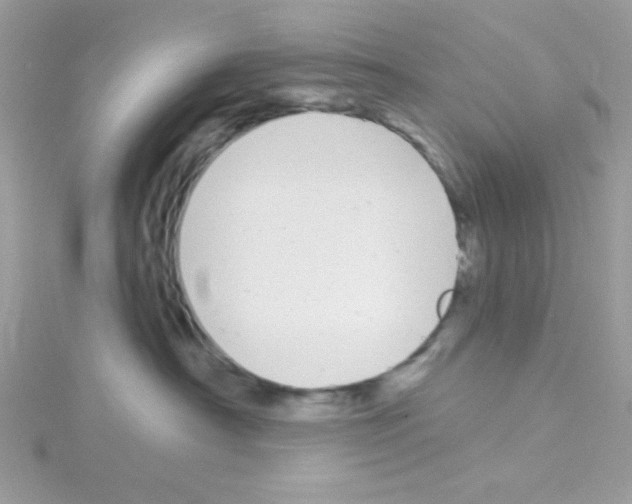 X0000114390430200911271502