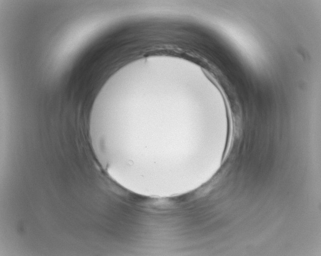 X0000114390431200911271502