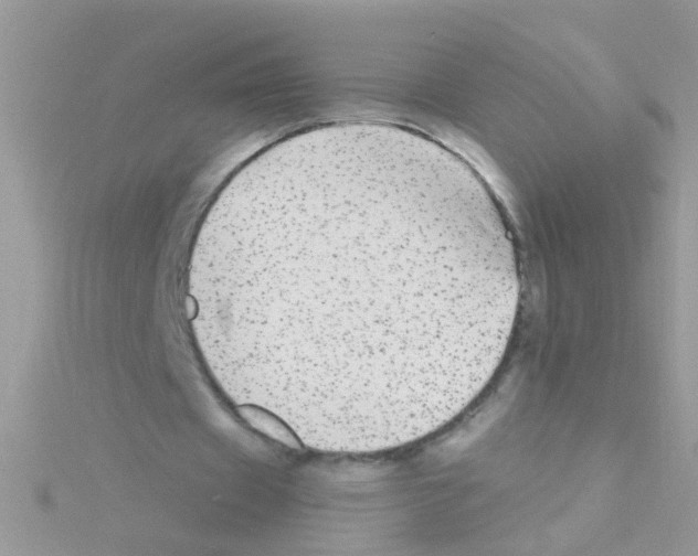 X0000114390433200911271501