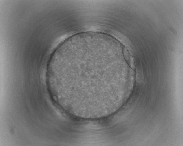 X0000114390434200911271501