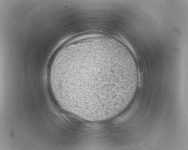 X0000114390435200911271501