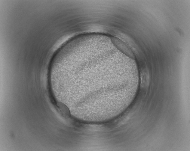 X0000114390436200911271501