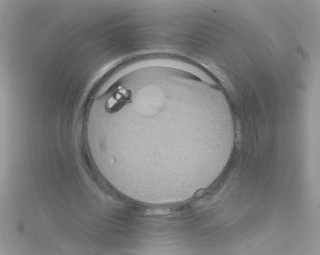 X0000114390440200911271501