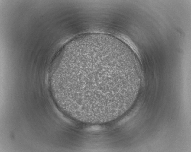 X0000114390441200911271501