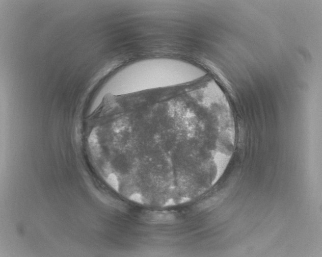 X0000114390443200911271501