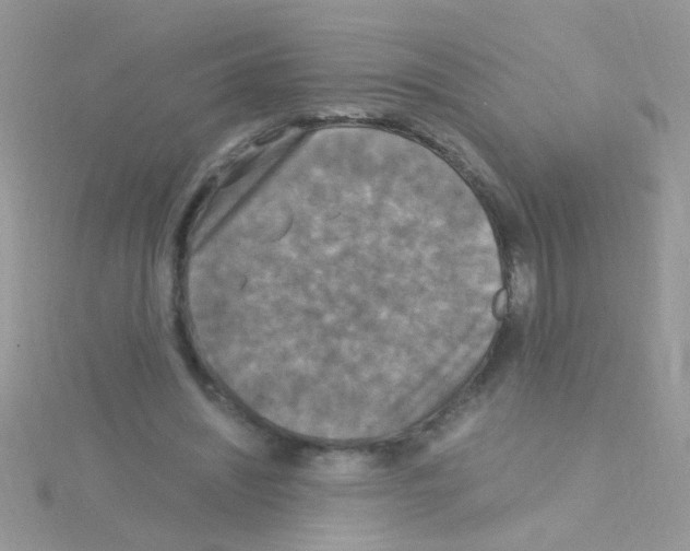 X0000114390444200911271501