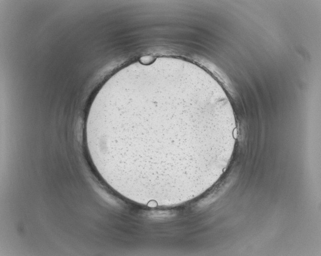 X0000114390445200911271501