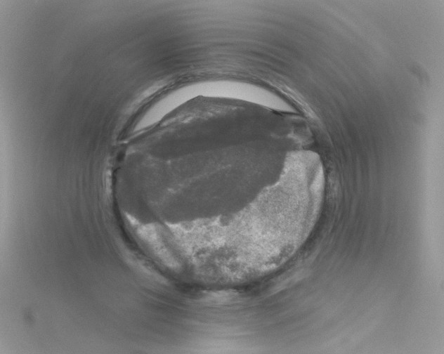 X0000114390446200911271501