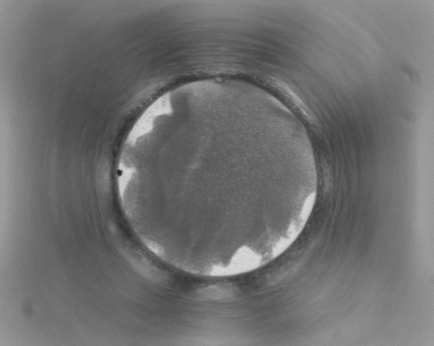 X0000114390447200911271501