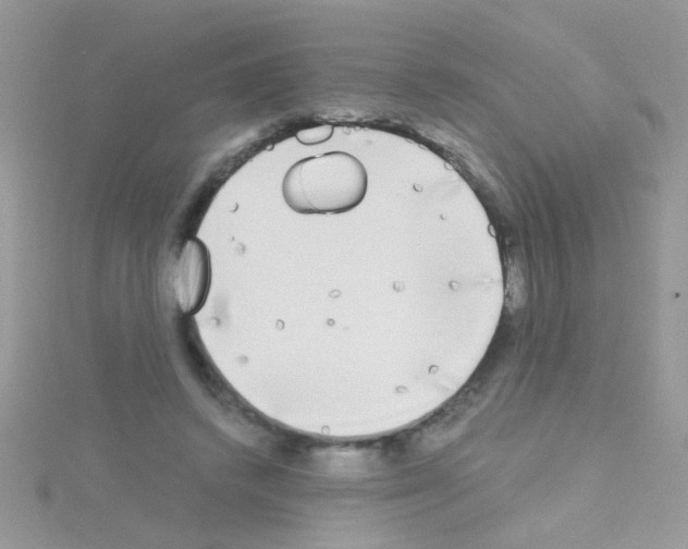 X0000114390448200911271501