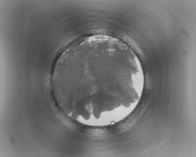 X0000114390449200911271501