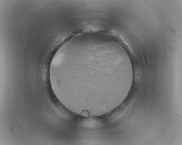 X0000114390451200911271501