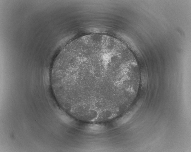 X0000114390453200911271502