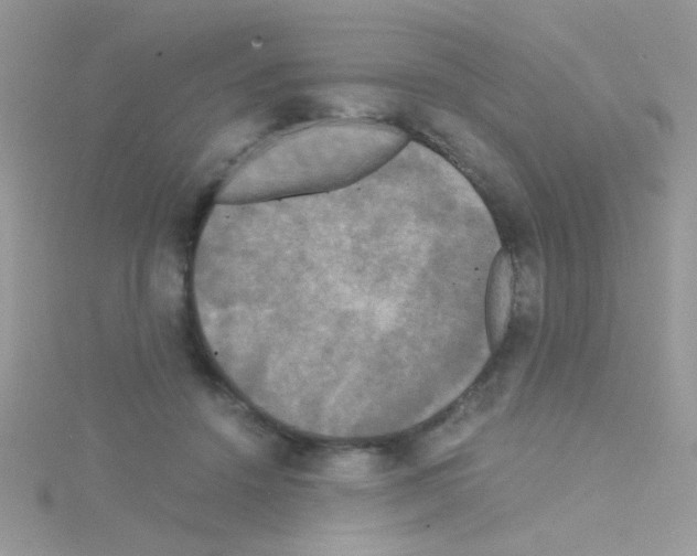 X0000114390456200911271502