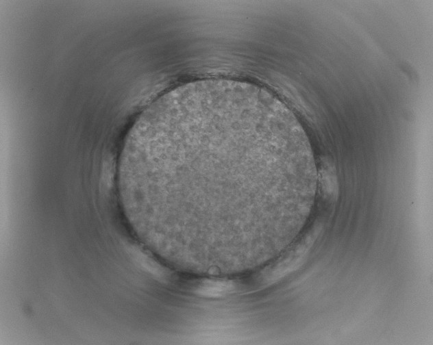 X0000114390458200911271502