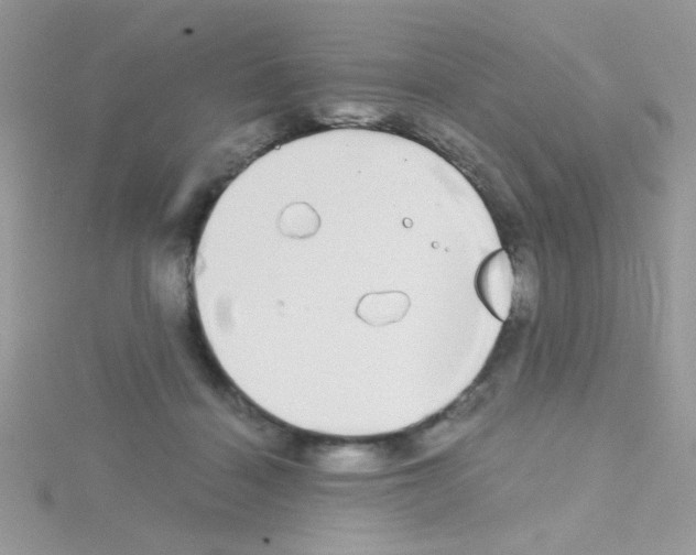 X0000114390460200911271502