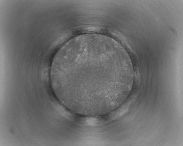 X0000114390462200911271502