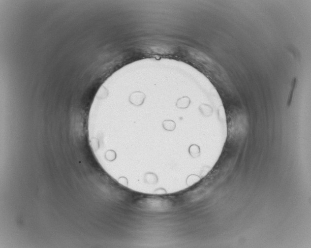 X0000114390464200911271502