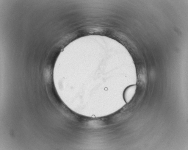 X0000114390468200911271502