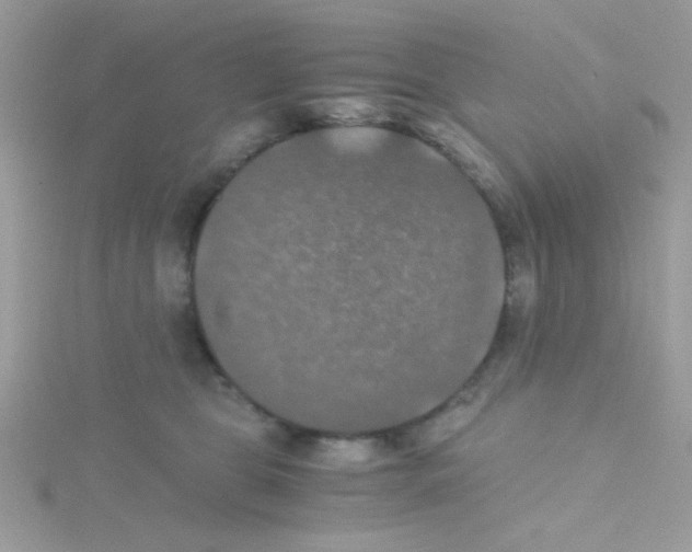 X0000114390469200911271502