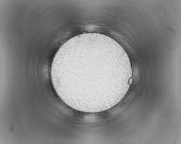 X0000114390470200911271502