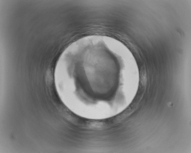 X0000114390471200911271502