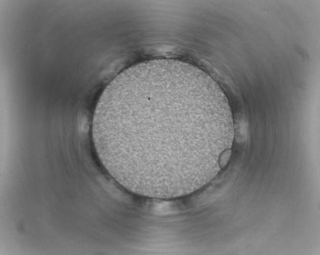 X0000114390472200911271502