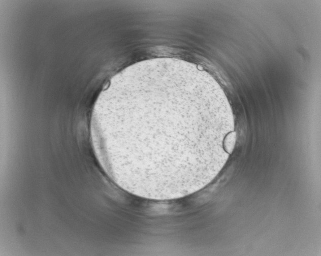 X0000114390473200911271502