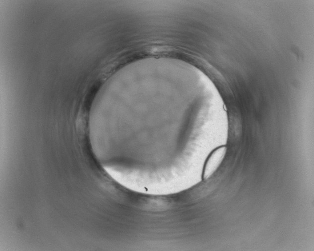 X0000114390475200911271502