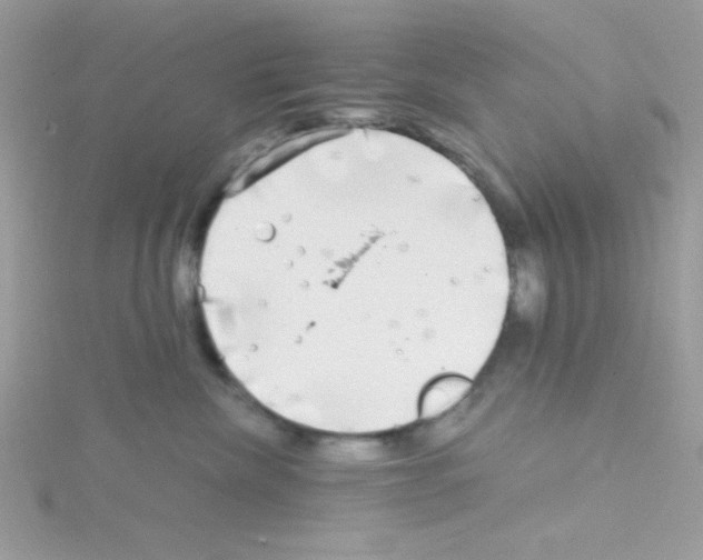 X0000114390476200911271502