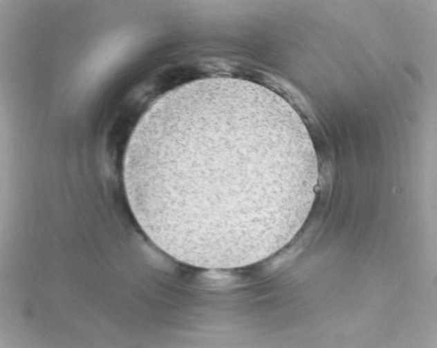 X0000114390477200911271502