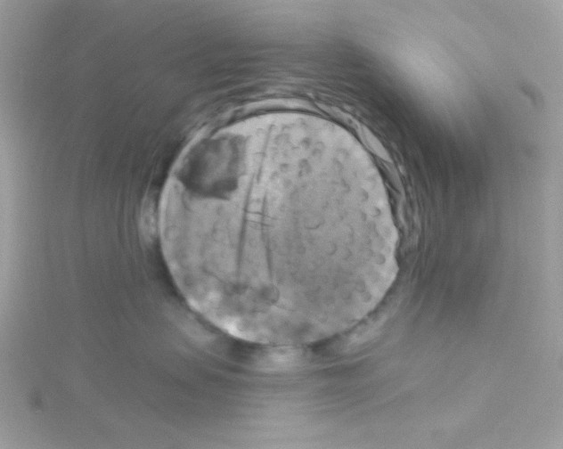 X0000114390479200911271502