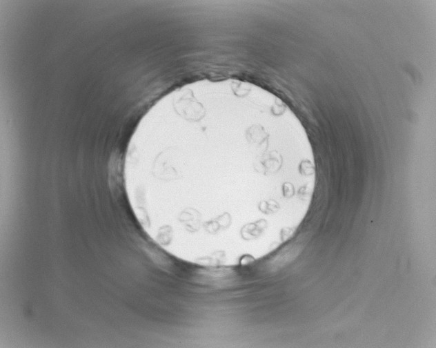 X0000114390480200911271502