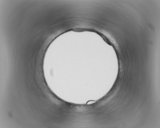 X0000114390481200911271501