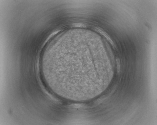 X0000114390482200911271501