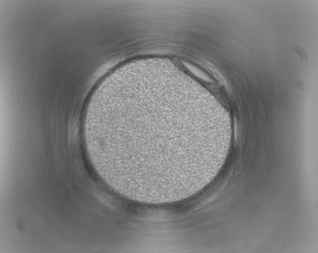 X0000114390483200911271501