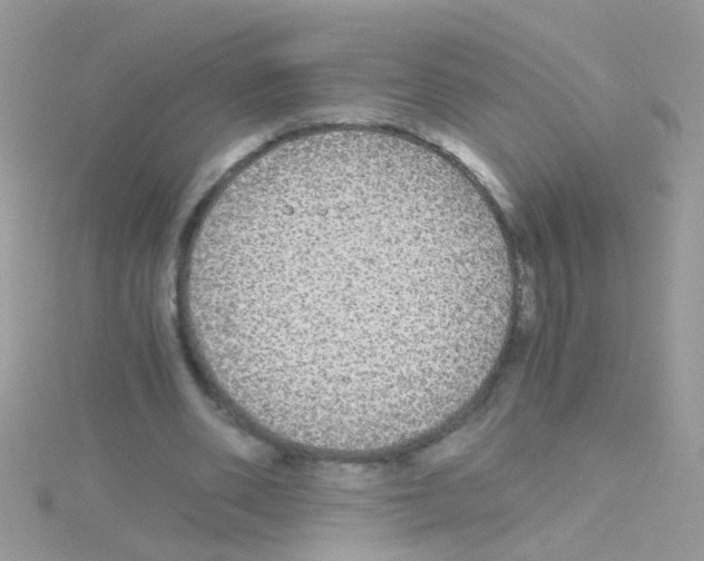 X0000114390486200911271501