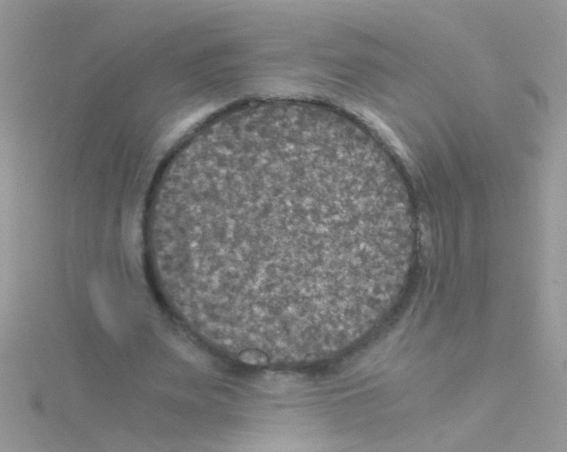 X0000114390487200911271501