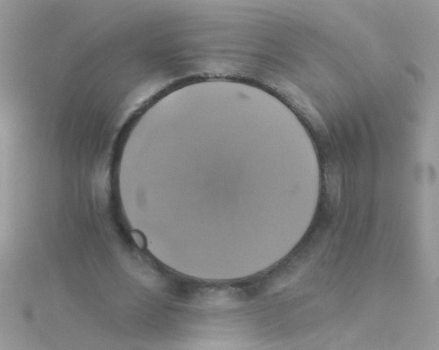 X0000114390488200911271501