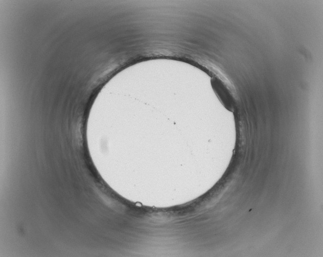 X0000114390489200911271501