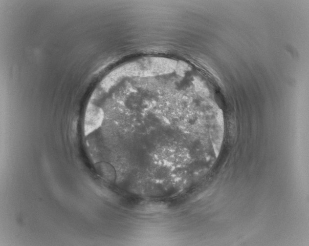 X0000114390491200911271501