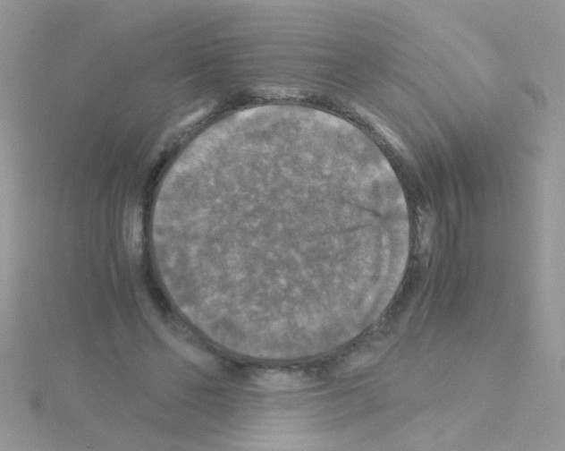 X0000114390494200911271501