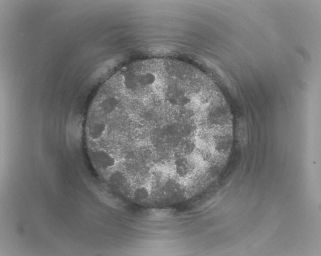 X0000114390495200911271501