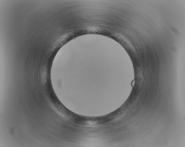 X0000114390496200911271501