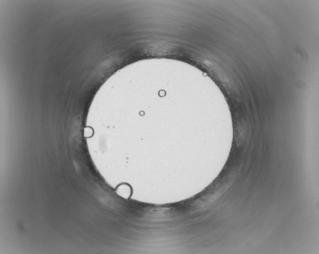 X0000114390497200911271501